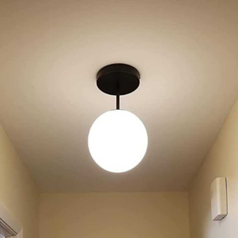 Valentina Kleine Ronde LED Plafondlampen Zwart Metaal Glas Eetkamer