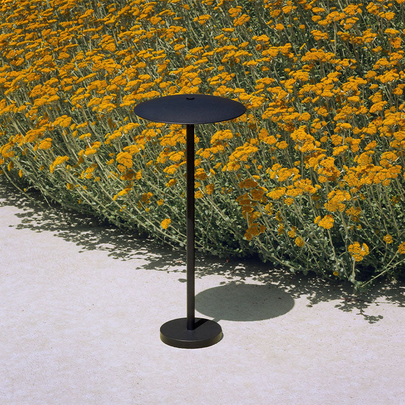 Carins Moderne Design LED Buitenlamp Metaal Zwart Coffee Buiten