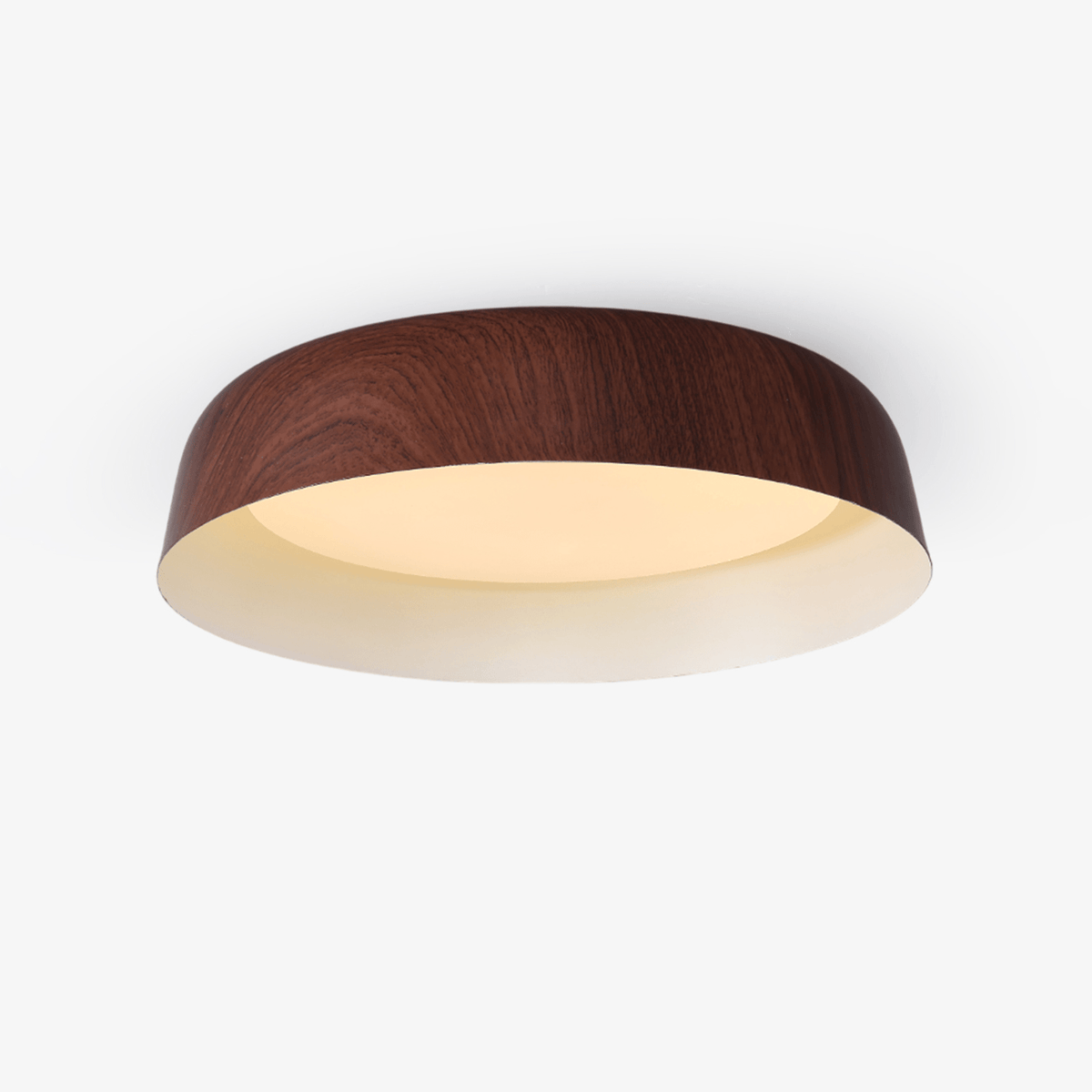 Viraenena Moderne minimalistische plafondlamp