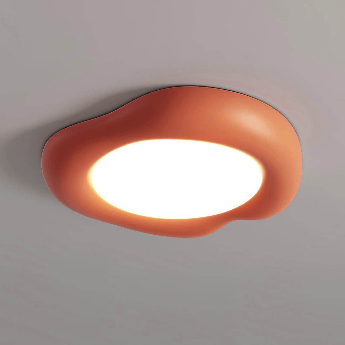 Zelaeis gevormde appel hars plafondlamp