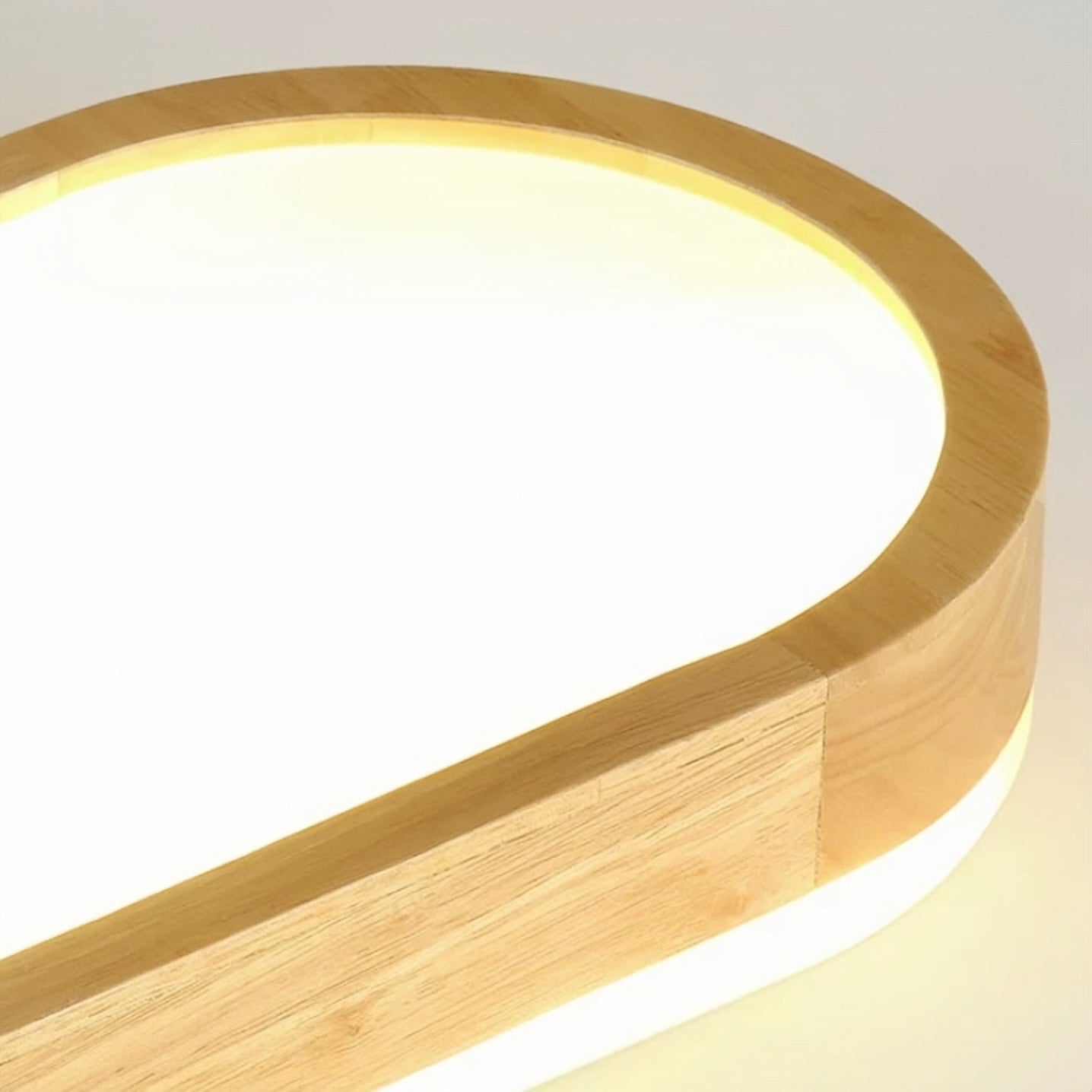 Ozawa Moderne Design LED Plafondlamp Metaal/Acryl Woonkamer