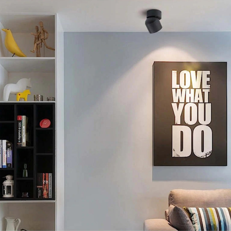 Novak Kleine LED Plafondlamp Zwart Wit Metaal Acryl Slaapkamer