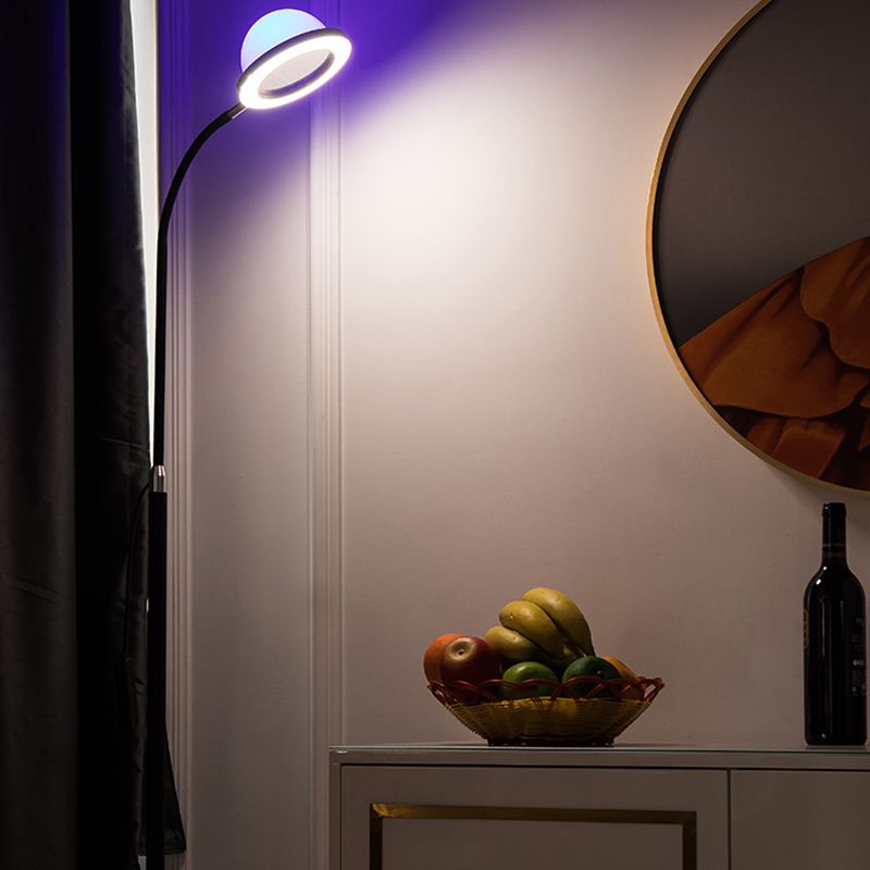 Eryn Moderne Design LED Globe Vloerlamp Acryl Zwart Metaal/Kunststof Slaapkamer/Woonkamer