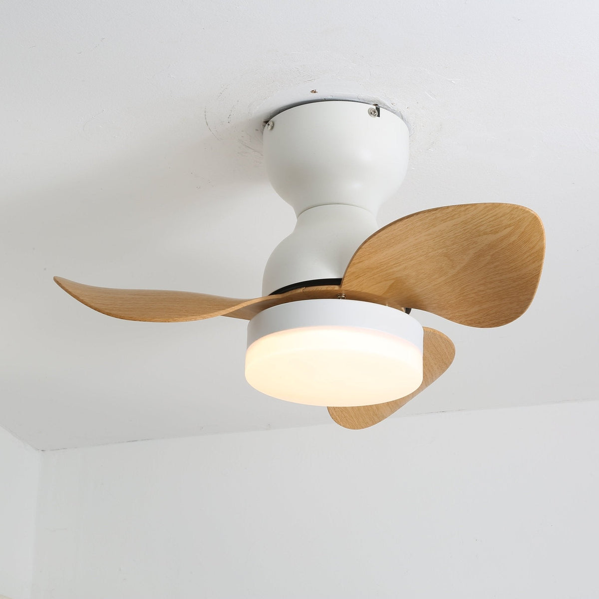 Renuina plafondventilator met verlichting