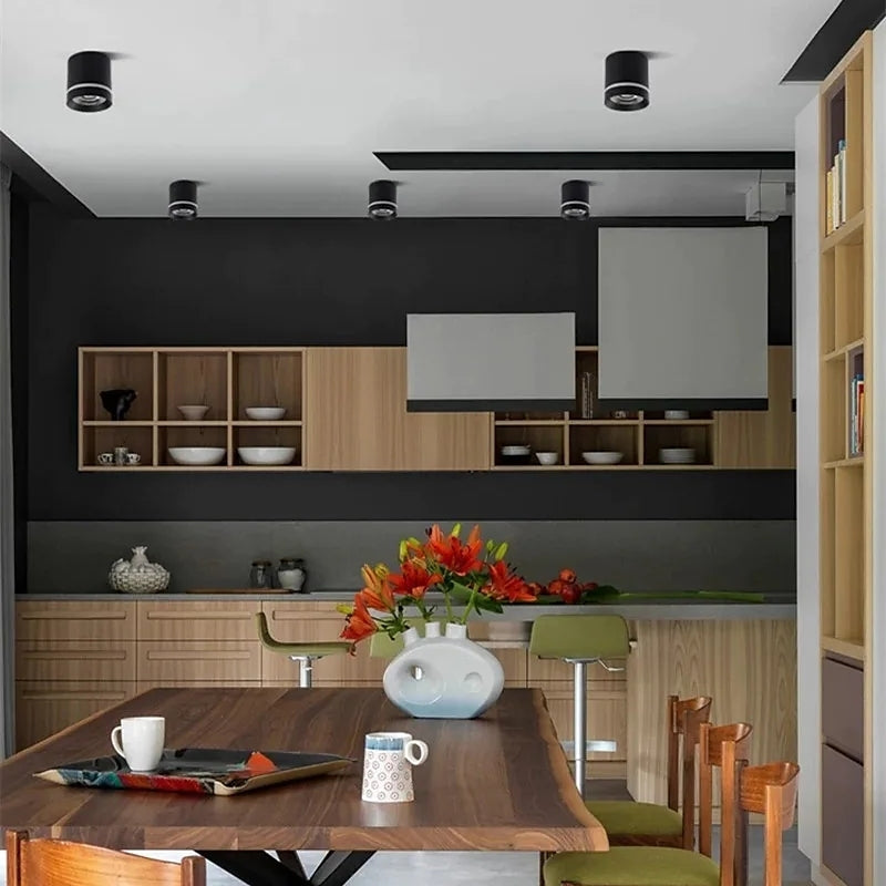 Freja Modern Design LED Plafondlampen Metaal Zwart Kantoor Slaap/Woonkamer