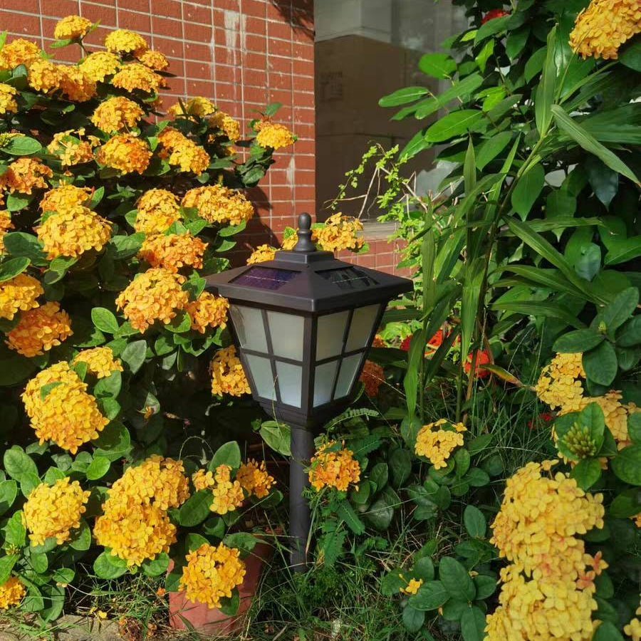 Pena Moderne LED Buitenlamp Zwart Metaal/Acryl Tuin/Stoeprand/Balkon