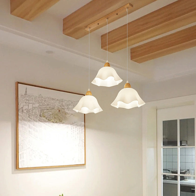 Ozawa Hanglampen Cluster, 2 Styles