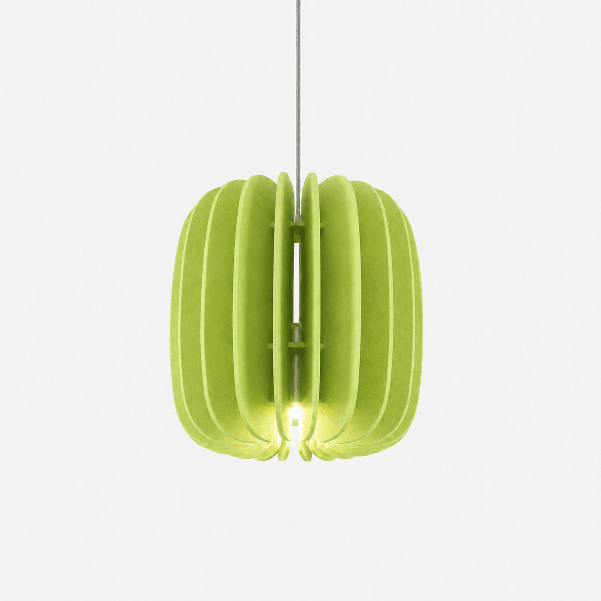 Elaeliella hanglamp