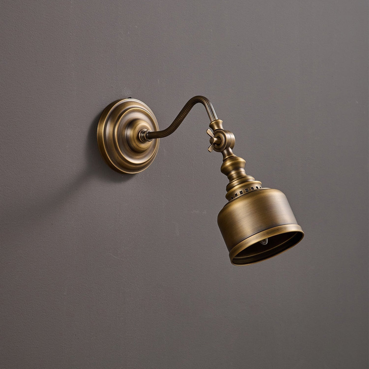 Orelelenne Gooseneck wandlamp
