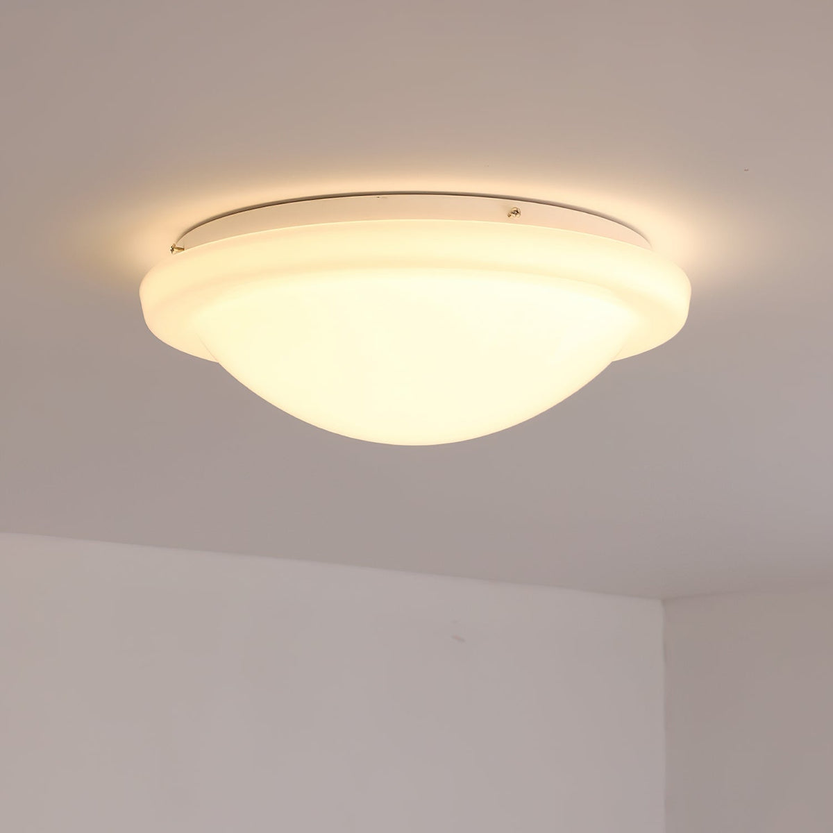 Seloelle plafondlamp
