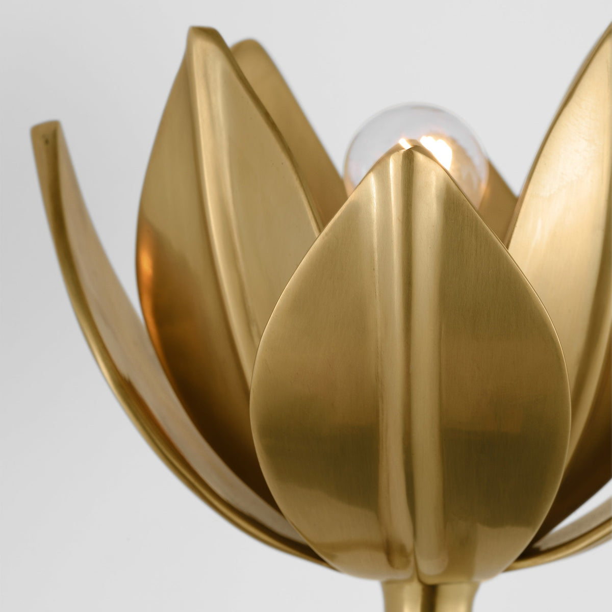 Clira messing wandlamp Lotus Bloom