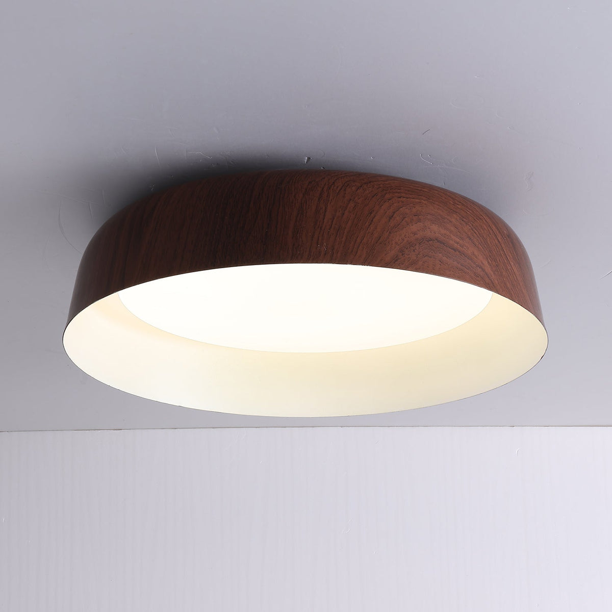 Viraenena Moderne minimalistische plafondlamp