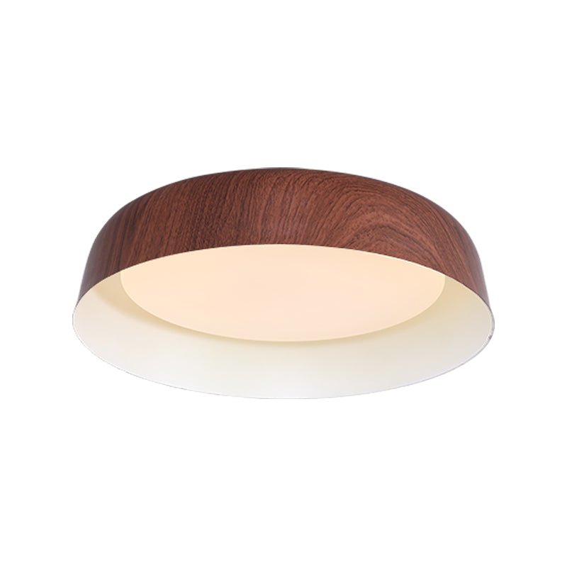 Viraenena Moderne minimalistische plafondlamp