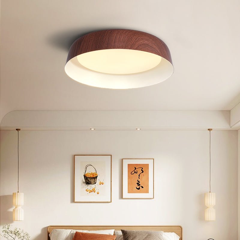 Viraenena Moderne minimalistische plafondlamp