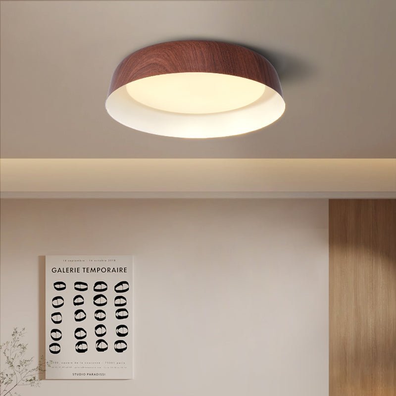 Viraenena Moderne minimalistische plafondlamp