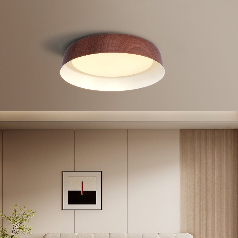 Viraenena Moderne minimalistische plafondlamp