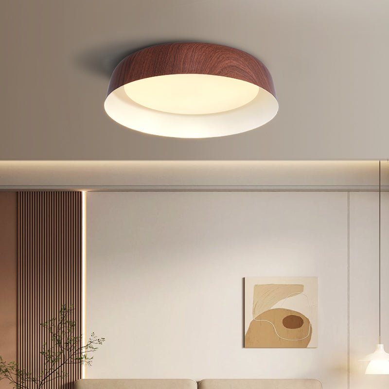 Viraenena Moderne minimalistische plafondlamp
