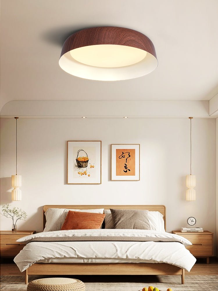 Viraenena Moderne minimalistische plafondlamp