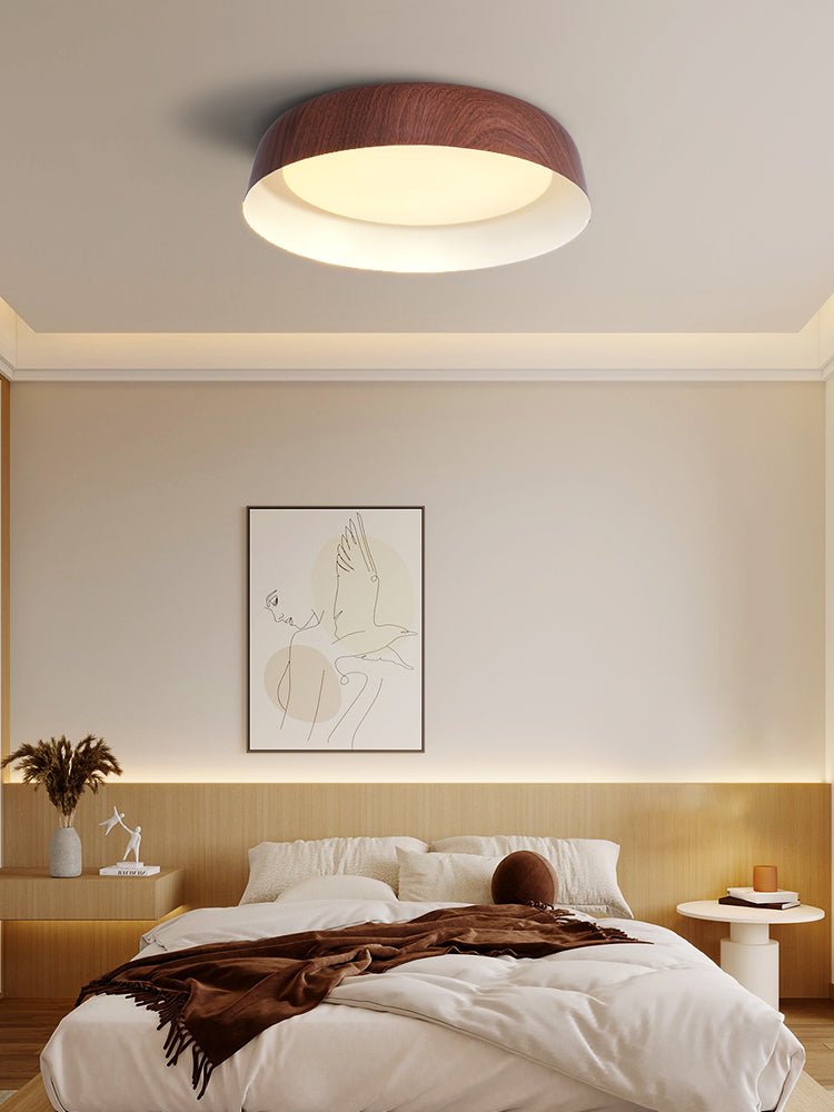 Viraenena Moderne minimalistische plafondlamp