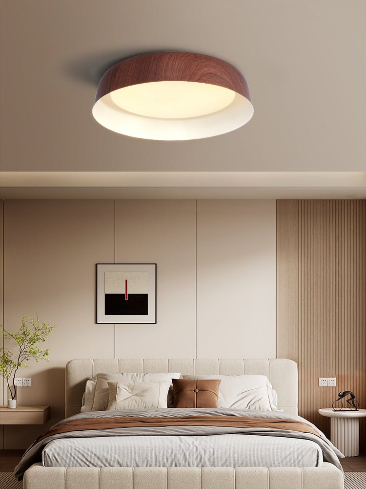 Viraenena Moderne minimalistische plafondlamp