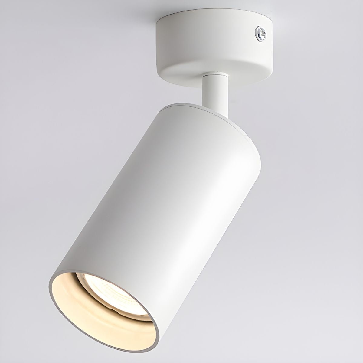 Vosilel moderne plafondlamp minimalistisch