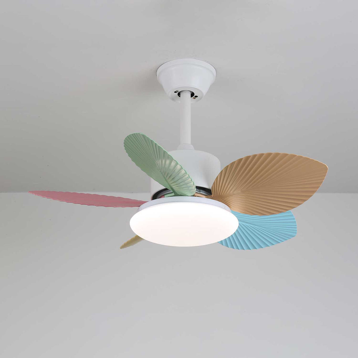 Celoia kleurrijke plafondventilator met verlichting van glas
