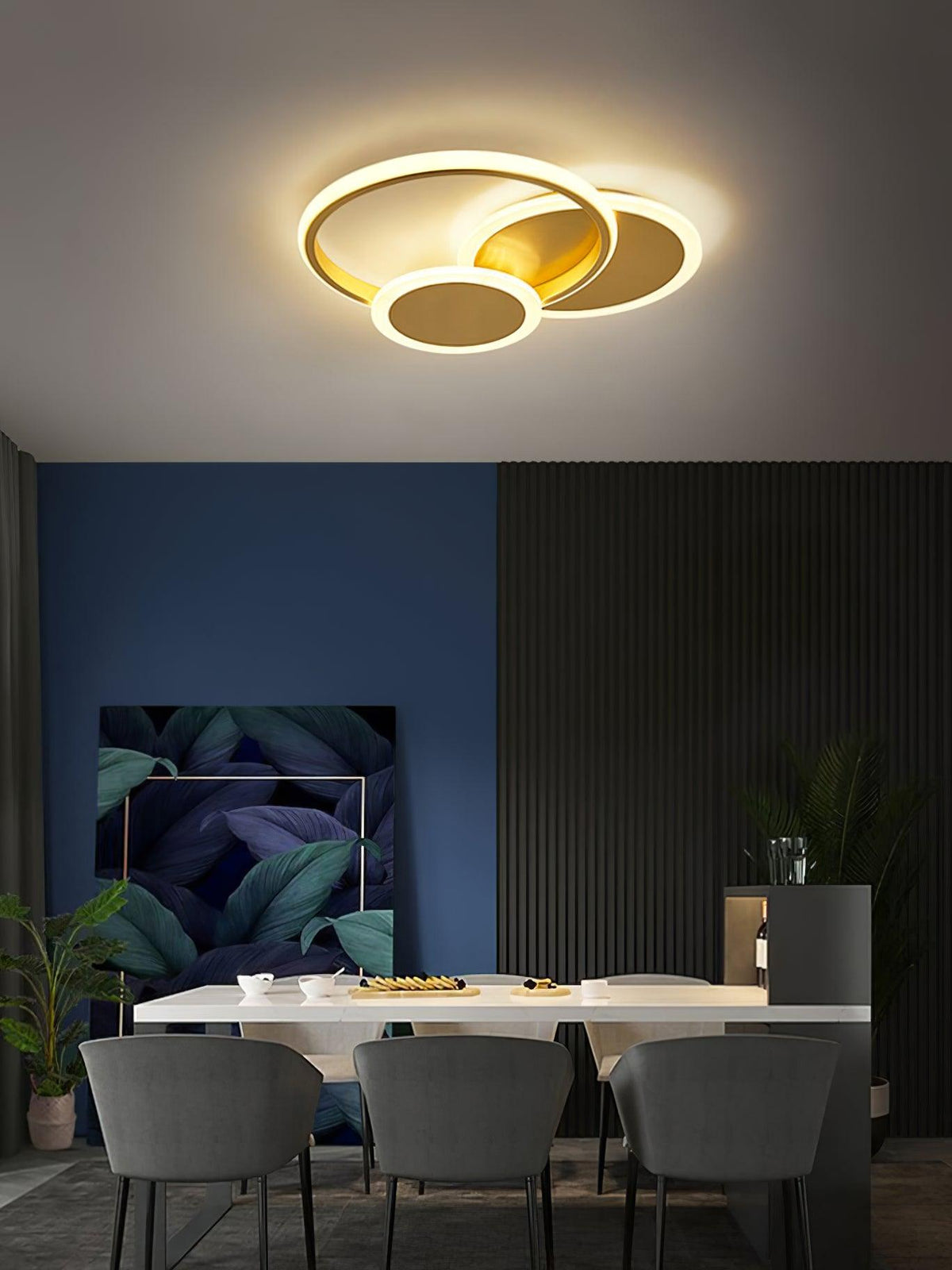 Insk Kunstzinnig Cirkels LED Plafondlamp