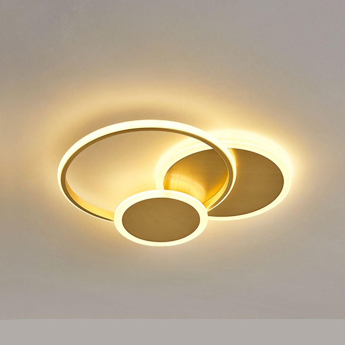 Insk Kunstzinnig Cirkels LED Plafondlamp