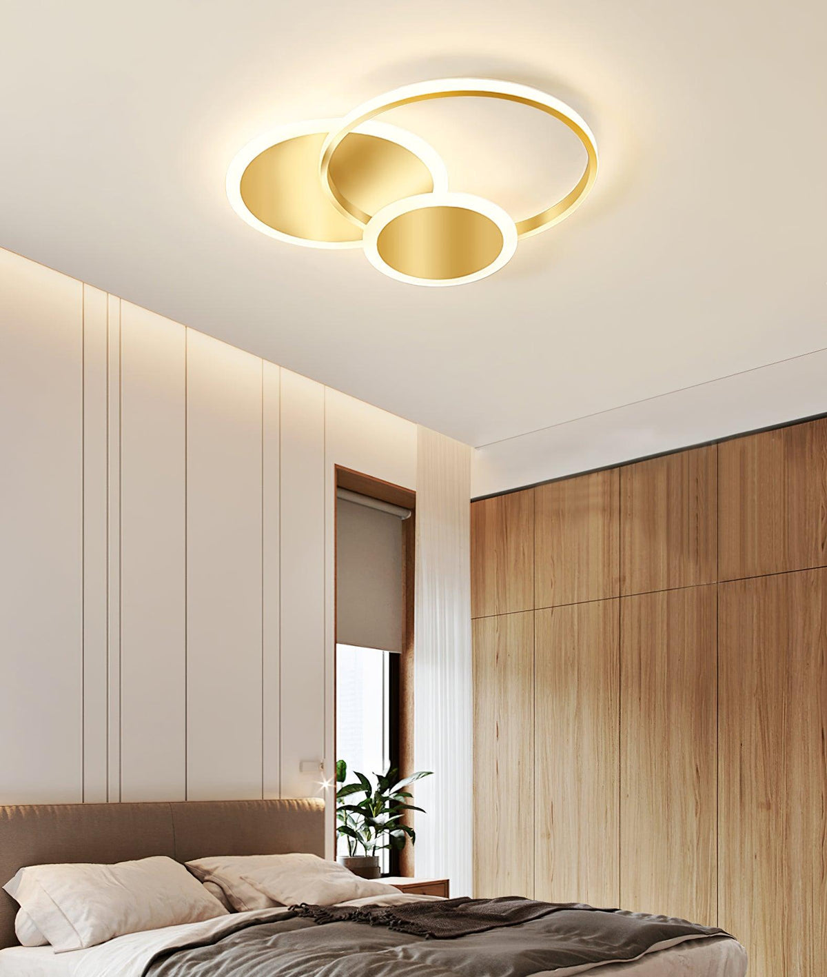 Insk Kunstzinnig Cirkels LED Plafondlamp