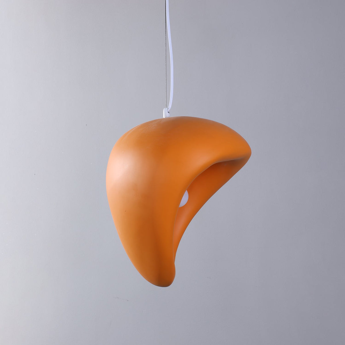 Renareria Premium Noordse kunst hanglamp