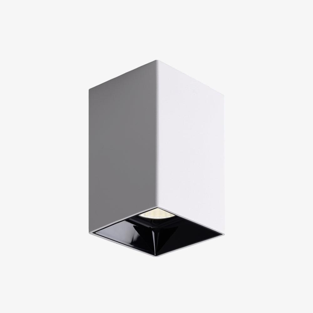 Orelaniella plafondlamp vierkant zwart spotlight