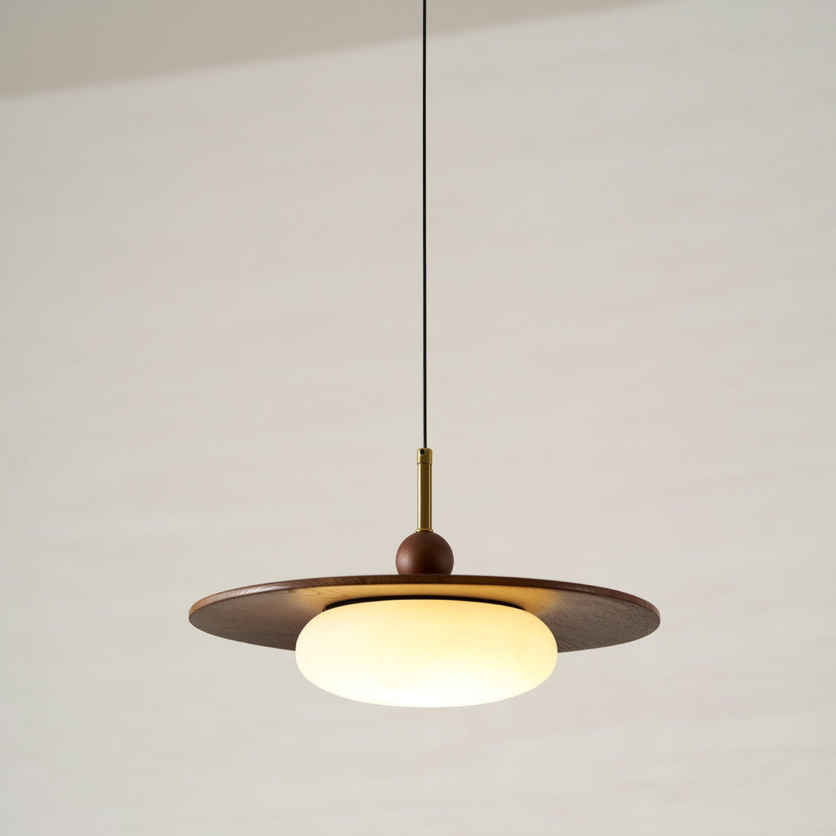 Viraeriella hanglamp