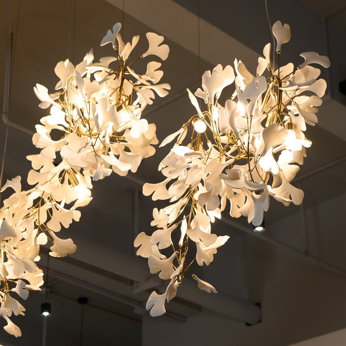 Ginkgo kroonluchter Cluster