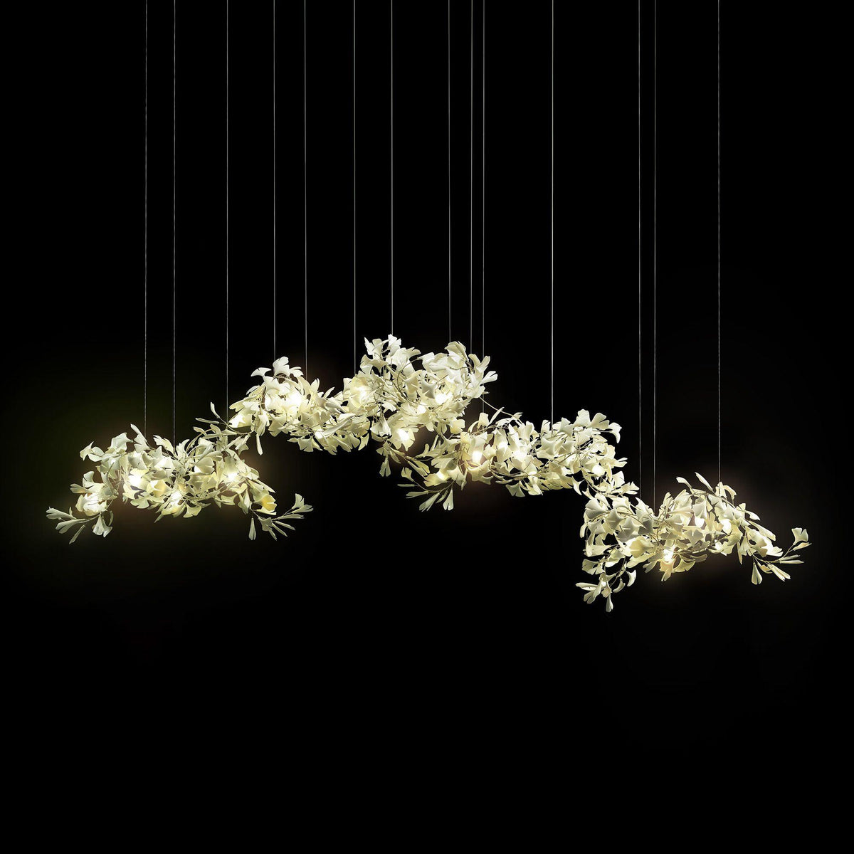 Ginkgo kroonluchter Cluster