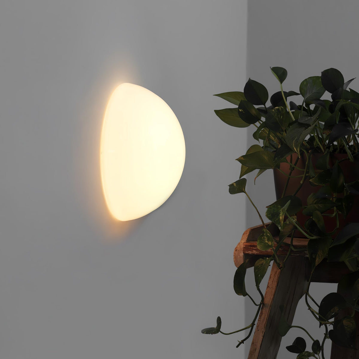 Vesilis Moderne minimalistische wandlamp van glas