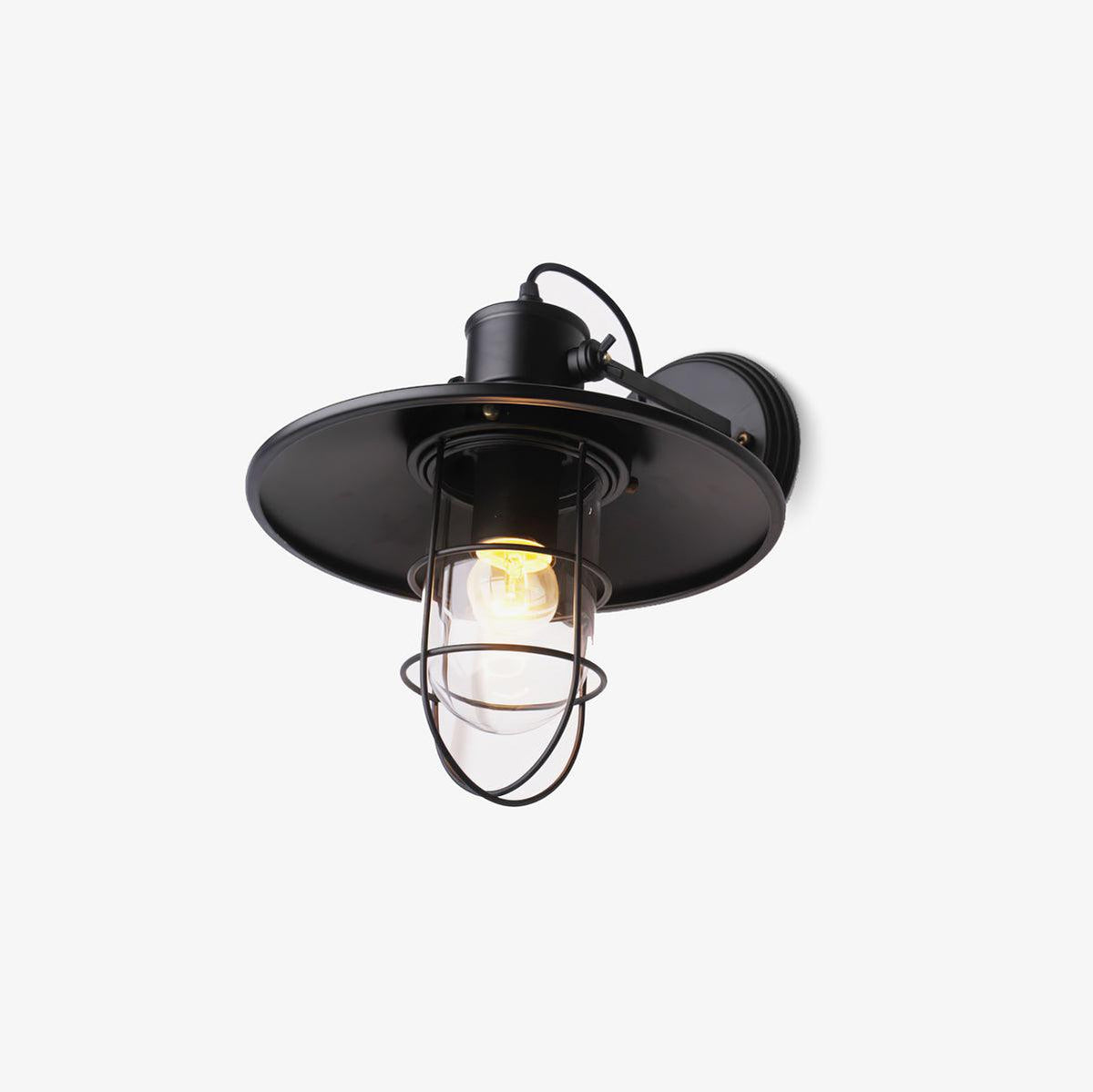 Eiraniella Abnormal Harbour Industriële wandlamp van glas