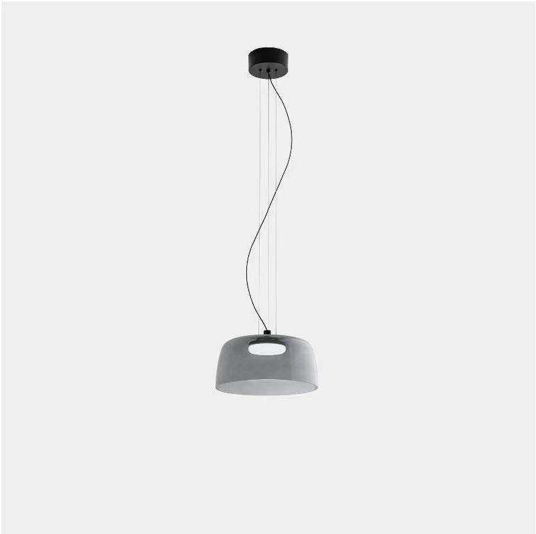 Renivine industriële hanglamp