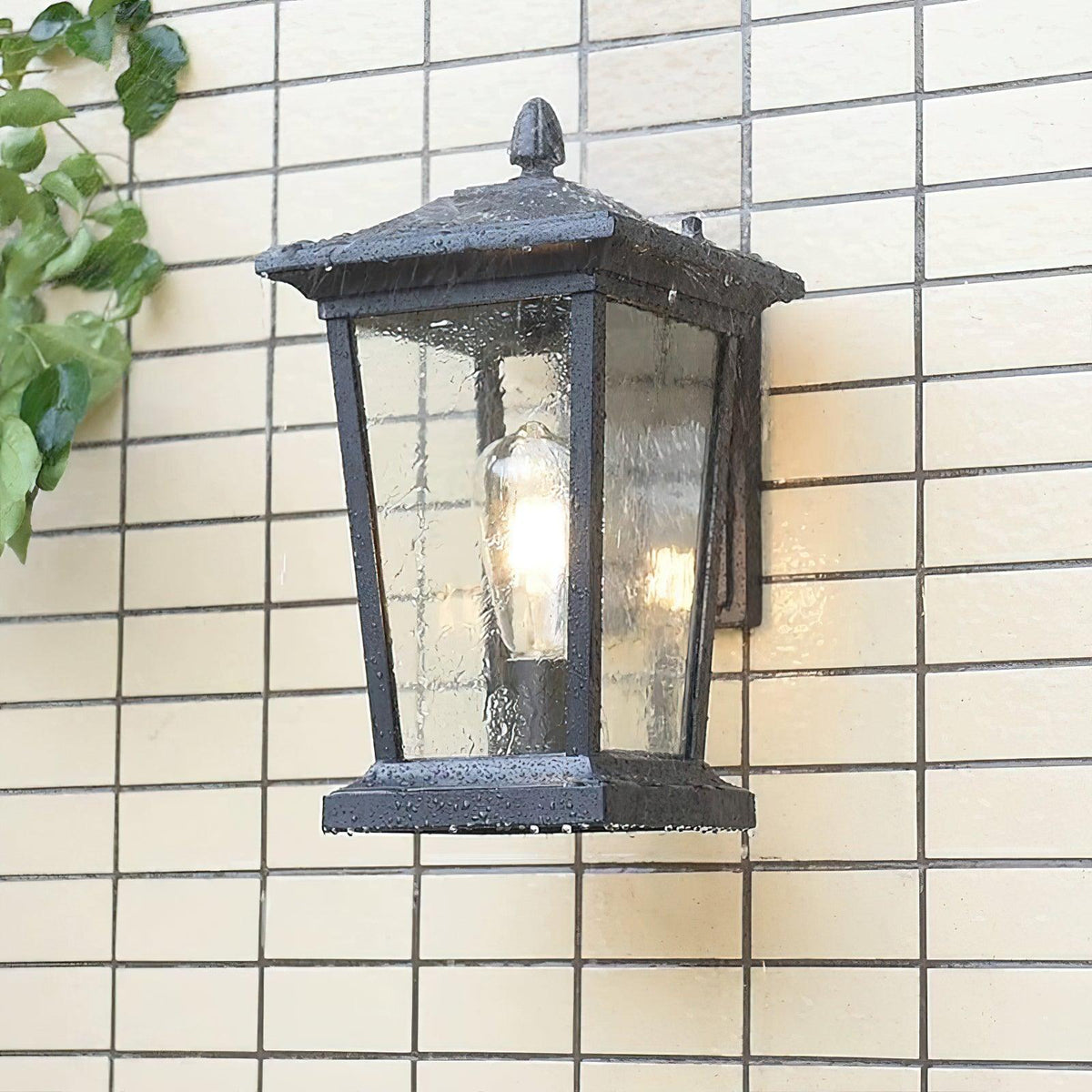 Edwin Birdcage elegantie glas buitenwandlamp