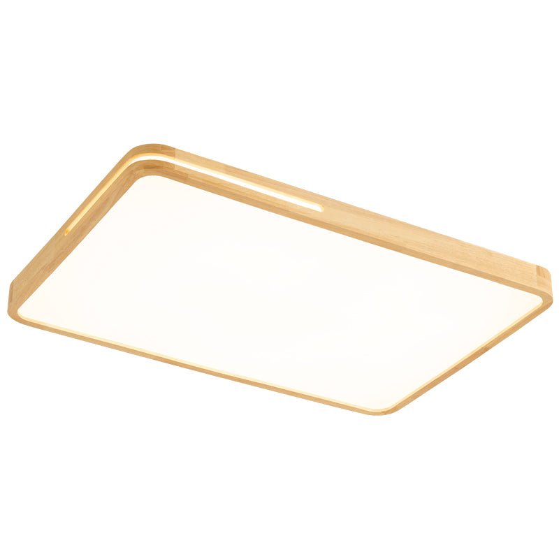 Vizoros Moderne Minimalistische Plafondlamp