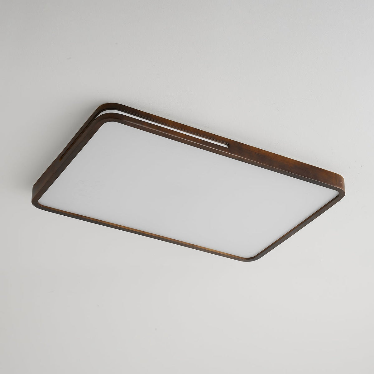 Vizoros Moderne Minimalistische Plafondlamp