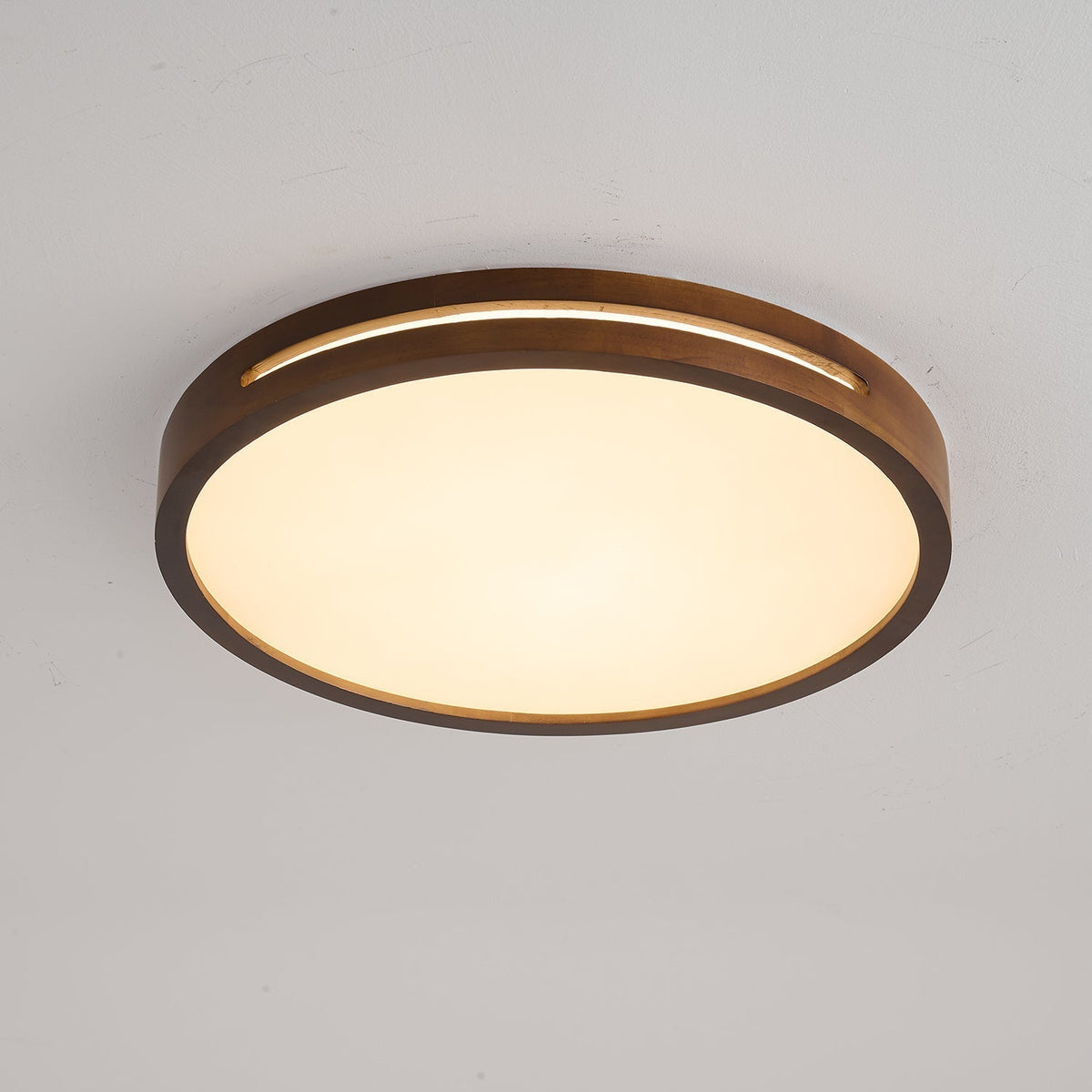 Vizoros Moderne Minimalistische Plafondlamp