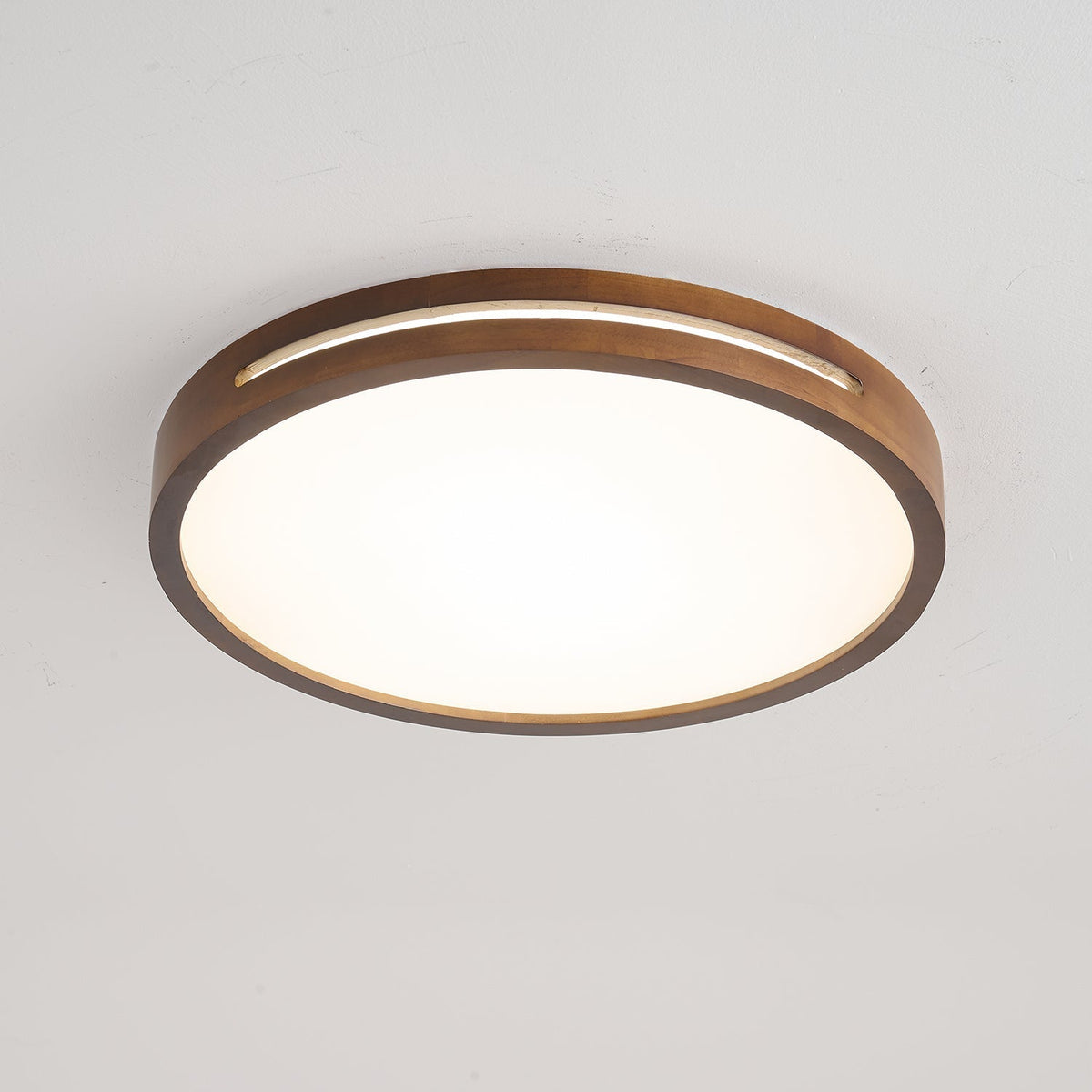 Vizoros Moderne Minimalistische Plafondlamp