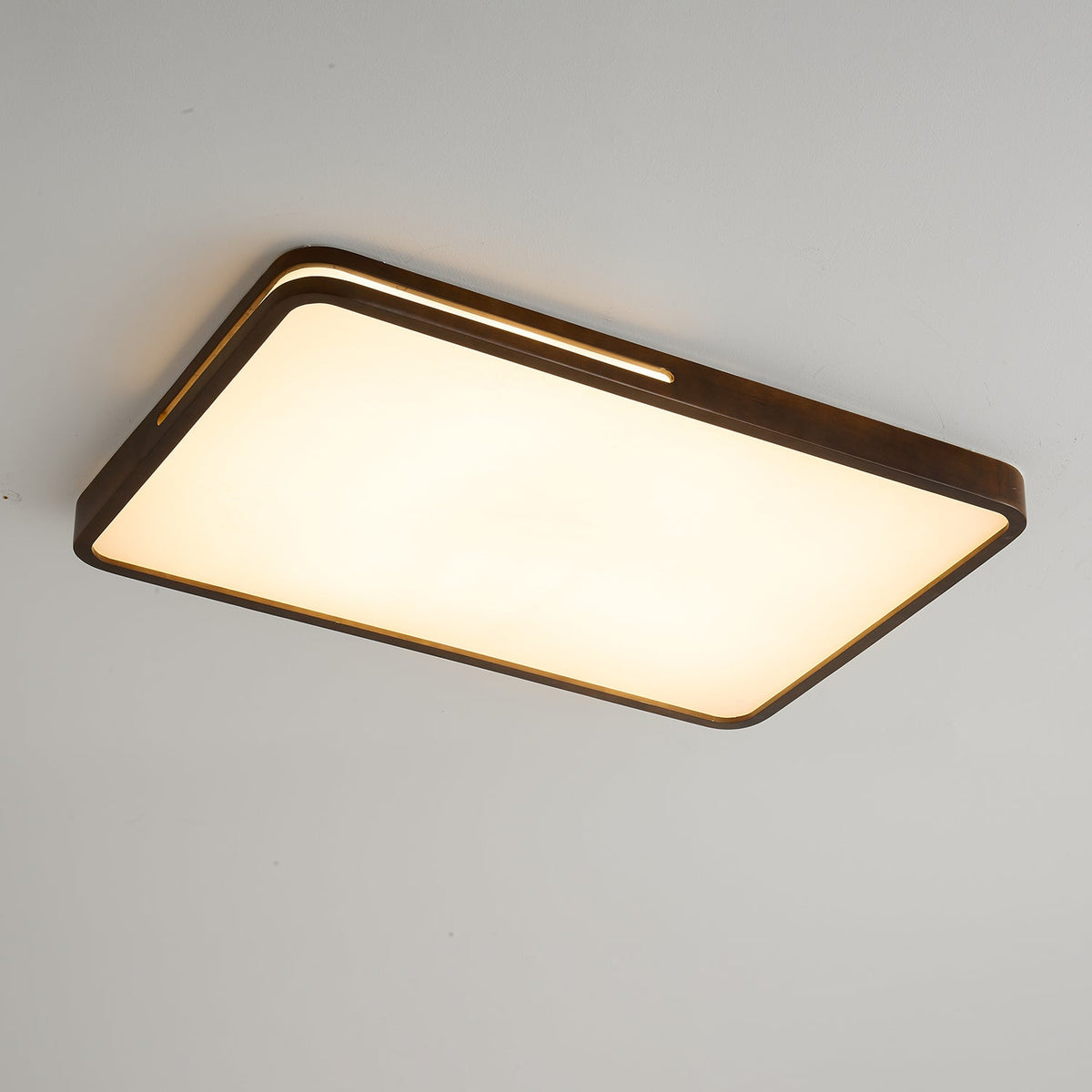 Vizoros Moderne Minimalistische Plafondlamp