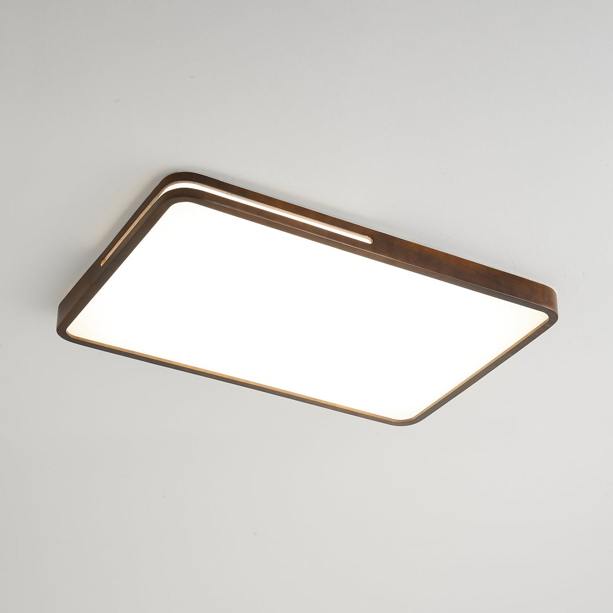 Vizoros Moderne Minimalistische Plafondlamp