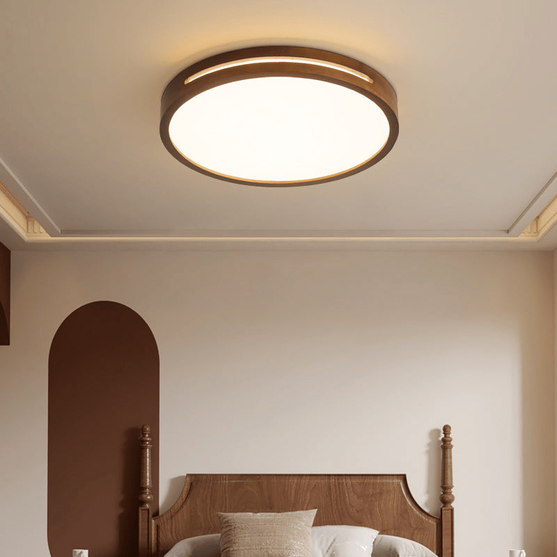 Vizoros Moderne Minimalistische Plafondlamp