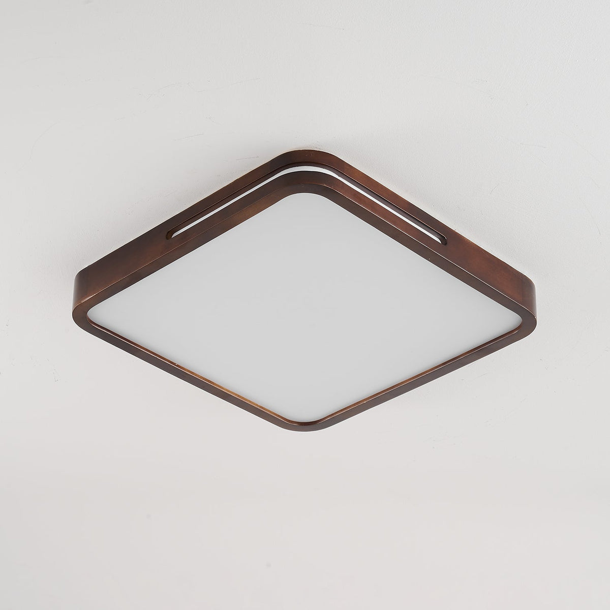 Vizoros Moderne Minimalistische Plafondlamp