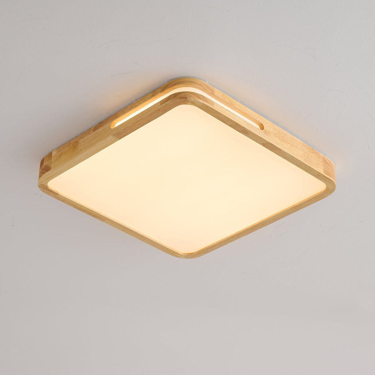 Vizoros Moderne Minimalistische Plafondlamp