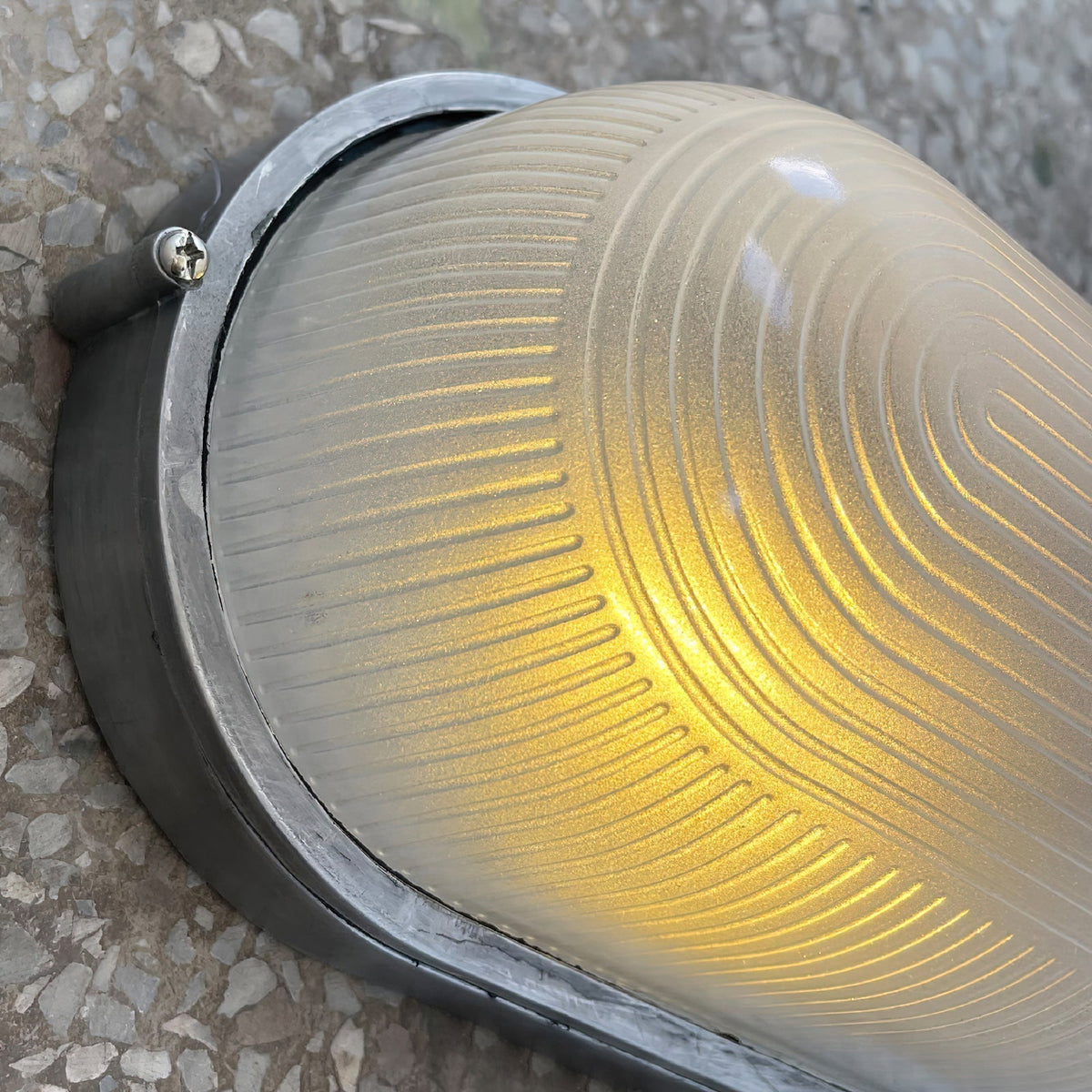 Viraelelia wandlamp