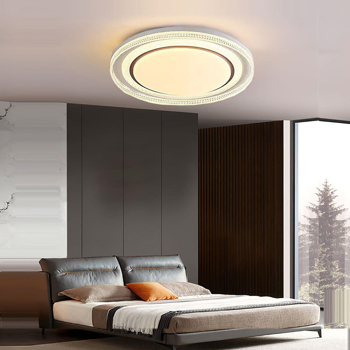 Luciise modern Acryl Plafondlamp
