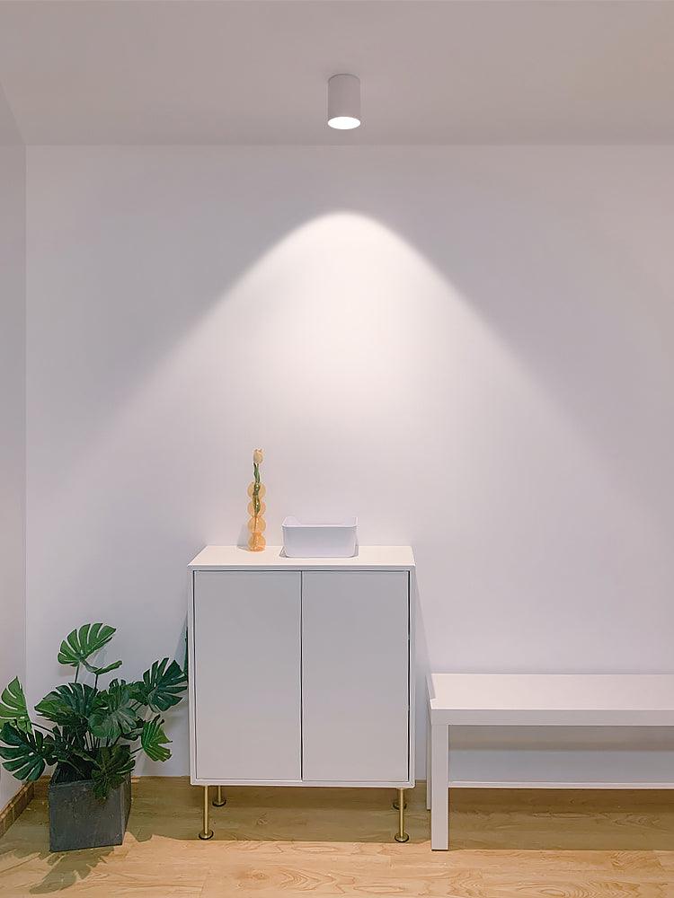 Celinaya plafondlamp acryl